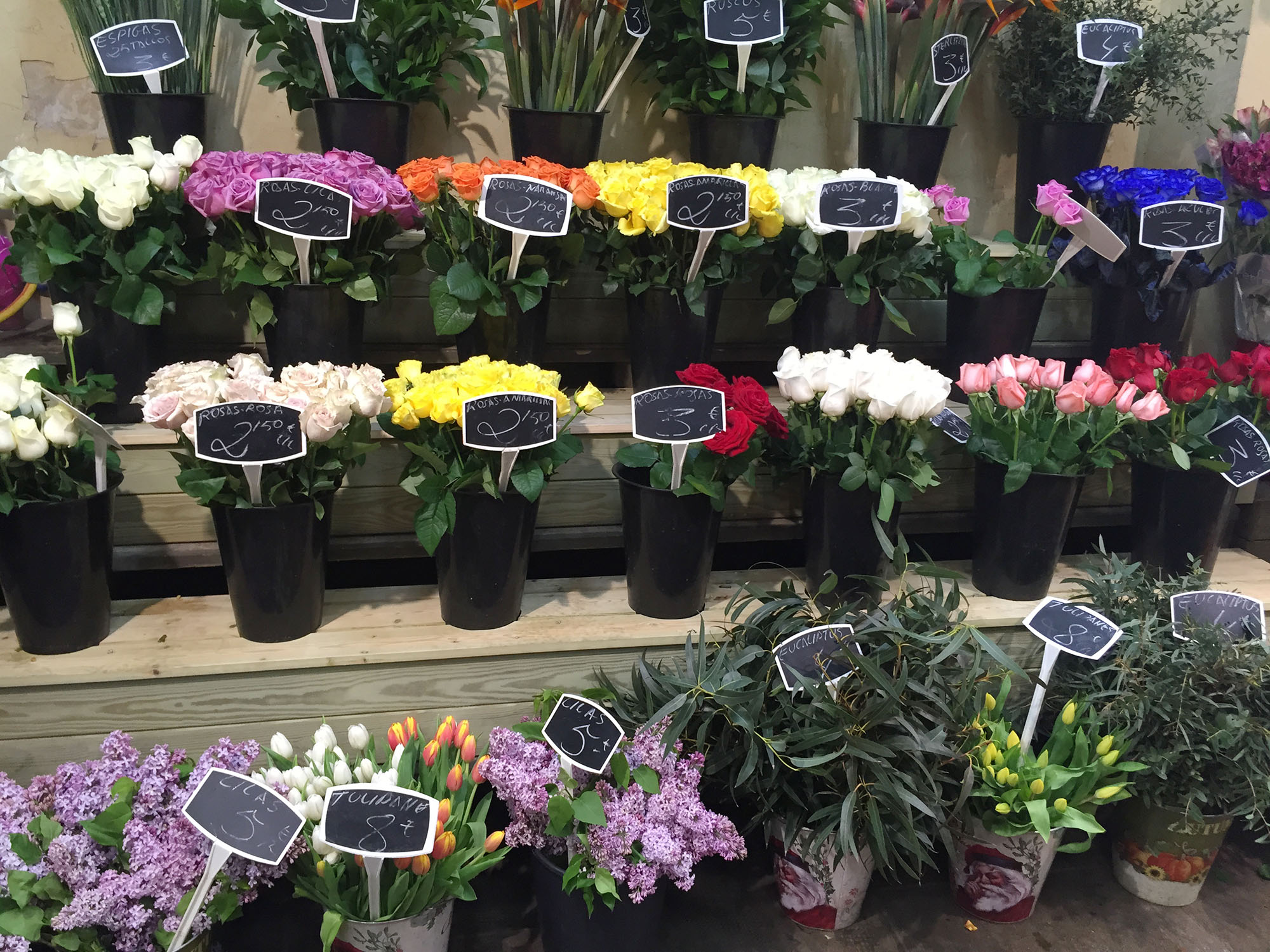 Variedad de colores de rosas para el 23 de abril