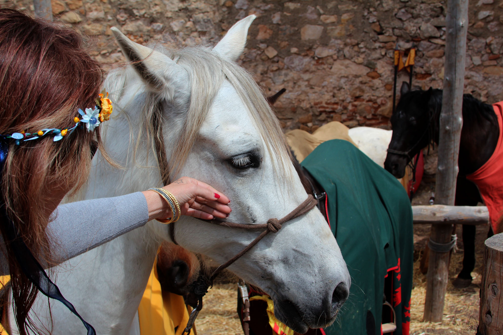 Los caballos también protagonizan las batallas.